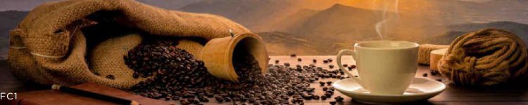Sticlă securizată printată cu boabe de cafea prăjită pentru backsplash de bucătărie