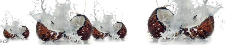 Sticlă printată cu nucă de cocos și fructe exotice pentru bucătărie modernă